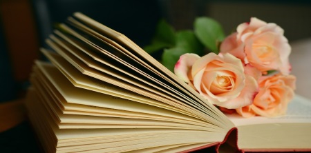 biographie-expérience-vécue biographie-expérience-vécue